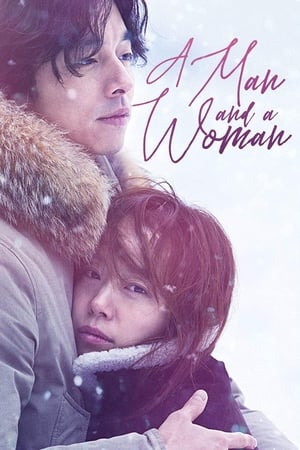 A Man and A Woman (2016) Hindi Dual Audio 400MB HD Poster Download - Filmyzilla